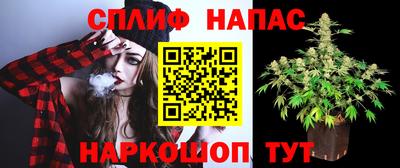амф Берёзовский