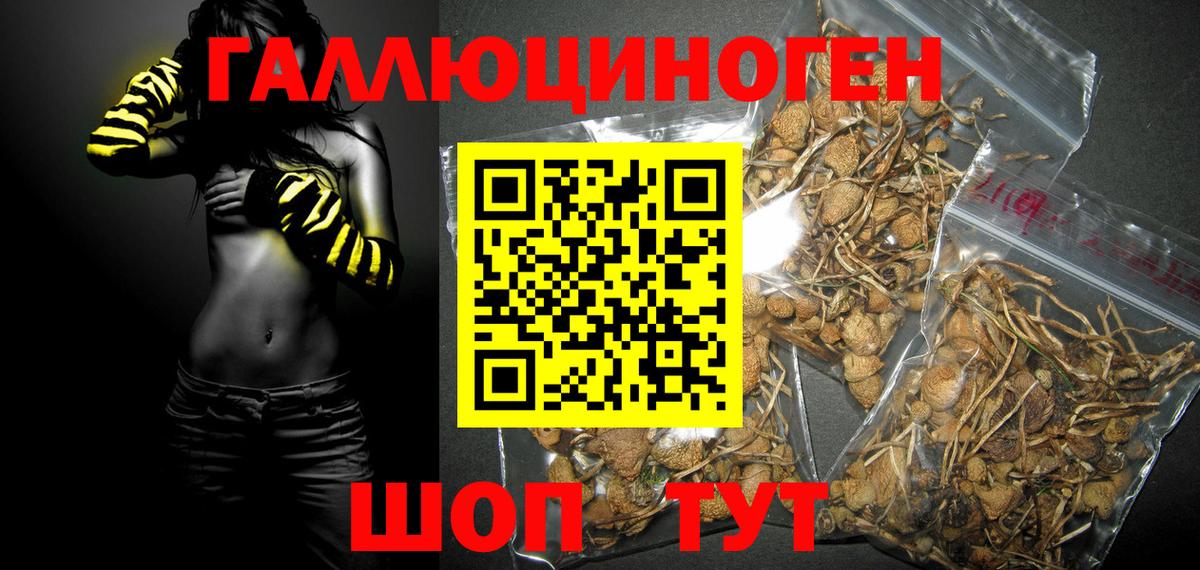 Псилоцибиновые грибы мухоморы Ковров