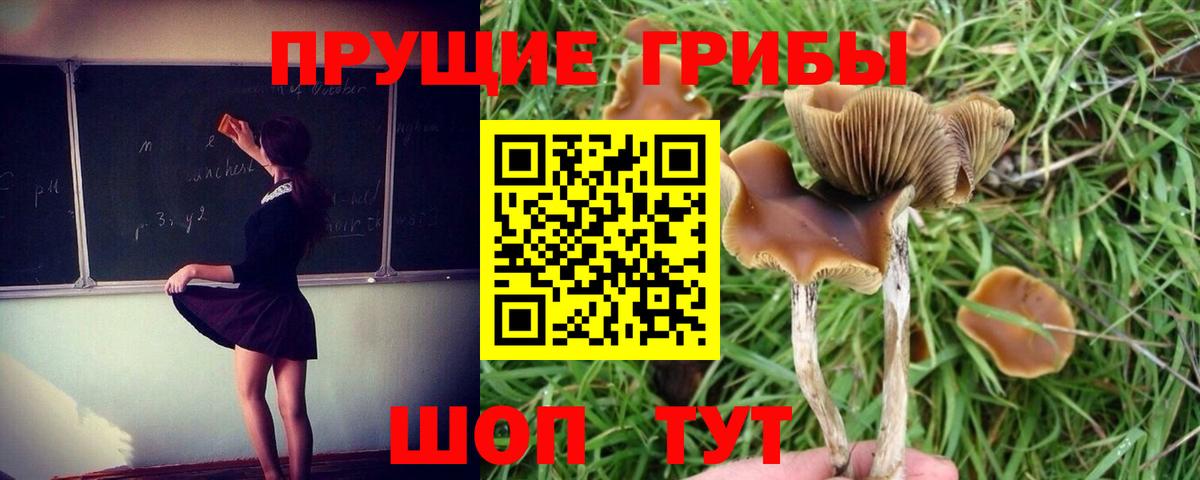 Ковров  Галлюциногенные грибы Magic Shrooms  Вход с VPN 